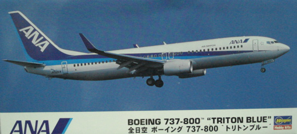 t10737 ANA BOEING 737-800