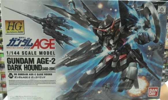 AGE HG 1/144 24 y