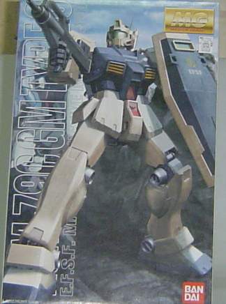 1/100 MGtC RGM-79C Ni()---