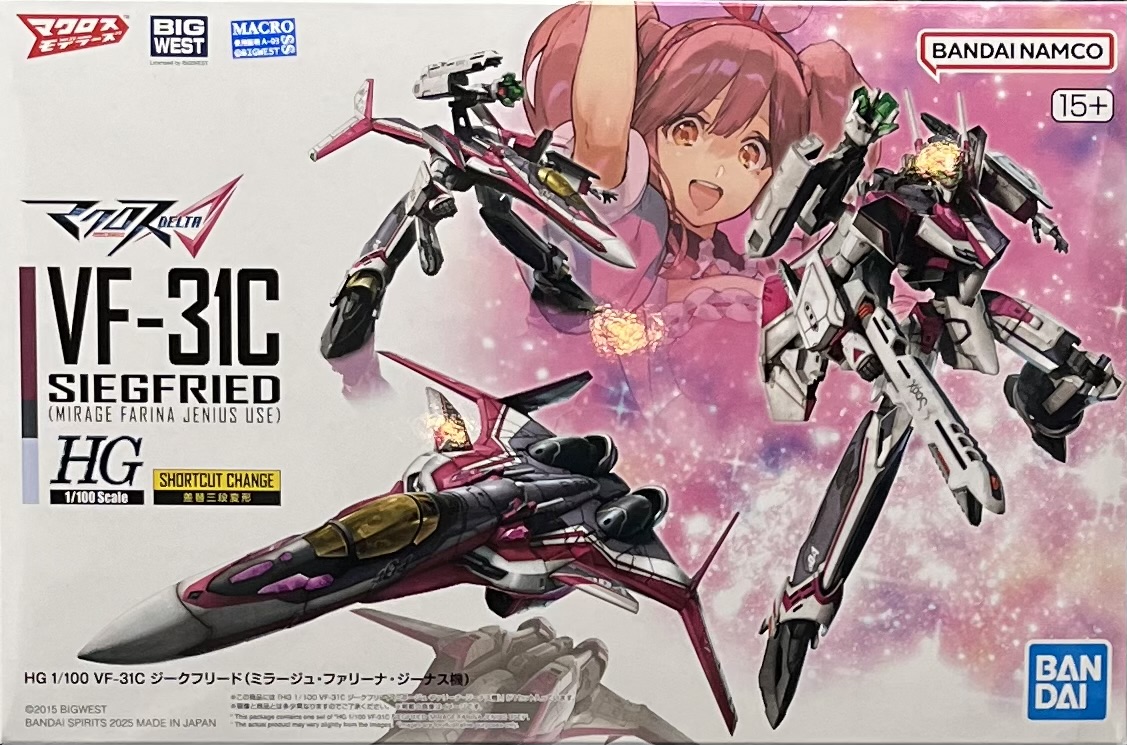 HG 1/100 �W�ɪŭn�� VF-31C�^����