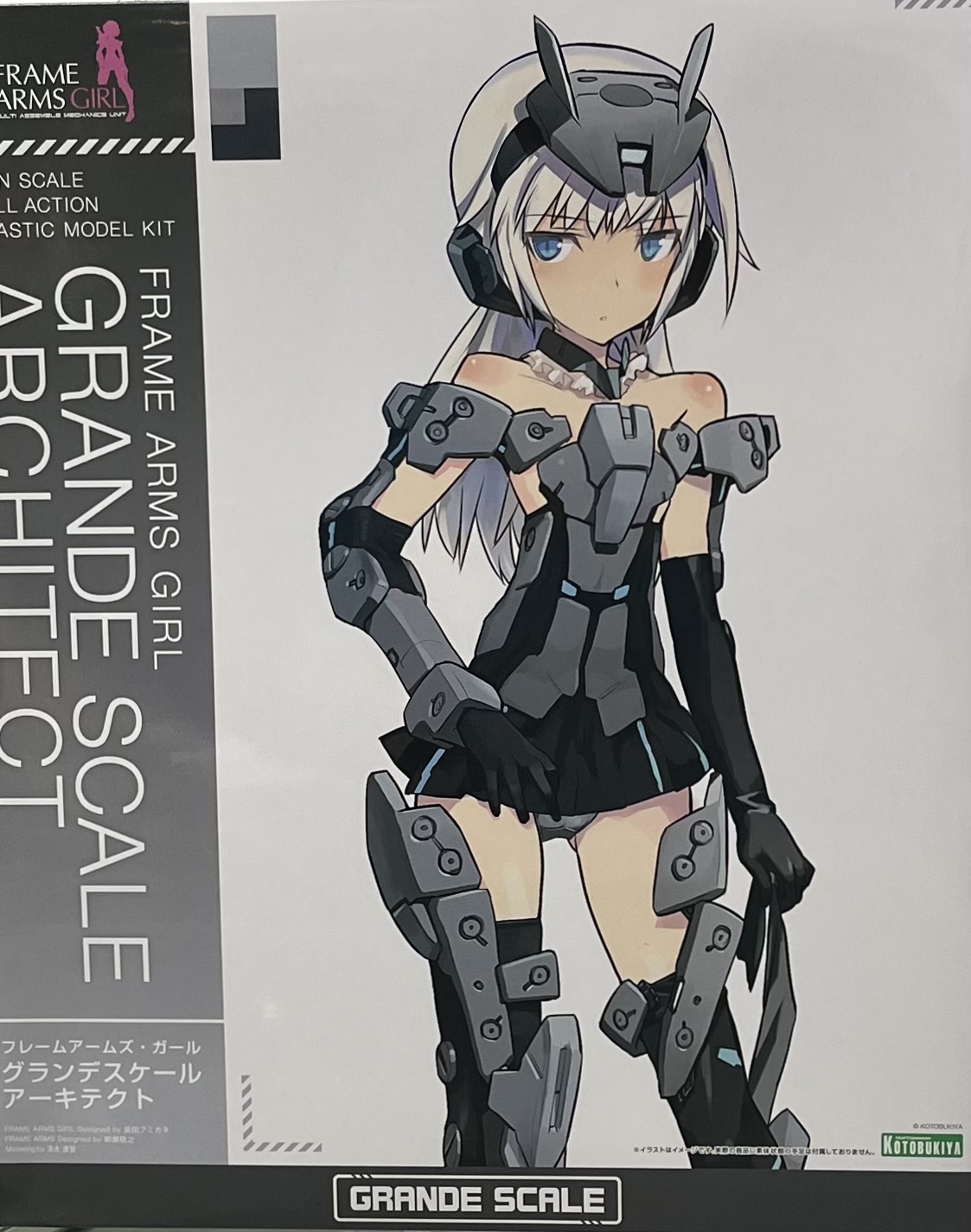 ���˾��Q GRAND SCALE �w�V���S