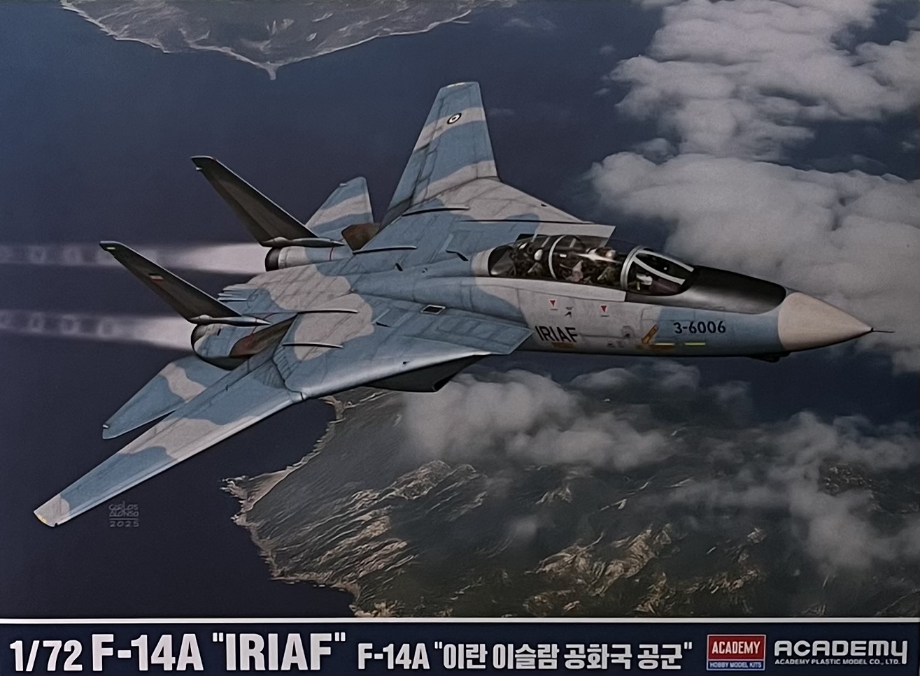 AC12594 1/72 F-14A��IRIAF��