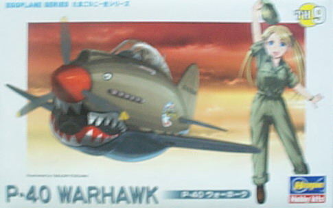 J60119   P-40 WARHAWK